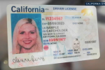 加州 DMV 系统错误 约 32.5 万名居民需重新办理 REAL ID
