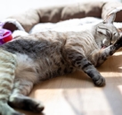 《有些温柔，其实一直在生活里》