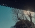 《檐下茶烟慢》