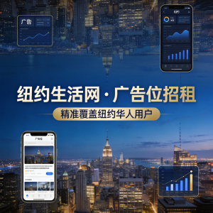 纽约市政交通要点：暴雪余波下出行与社区治