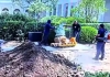 白宫玫瑰园石材惊现23米长“裂缝”，特朗普公布监控视频宣布“破案”
