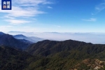 首次发现！两种国家二级保护动物现身云南大雪山国家级自然保护区