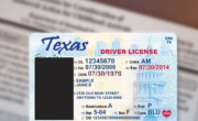 注意！外州考的驾照也可能被联邦用来核查身份？最新联邦政策解读