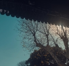 《檐下茶烟慢》