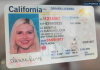 加州 DMV 系统错误 约 32.5 万名居民需重新办理 REAL ID