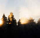 《日子普通，但也闪着光》