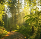 《一个人走走，其实也很好》