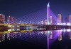 《夜色闪烁》