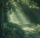 《生活，总会在某个瞬间治愈你》