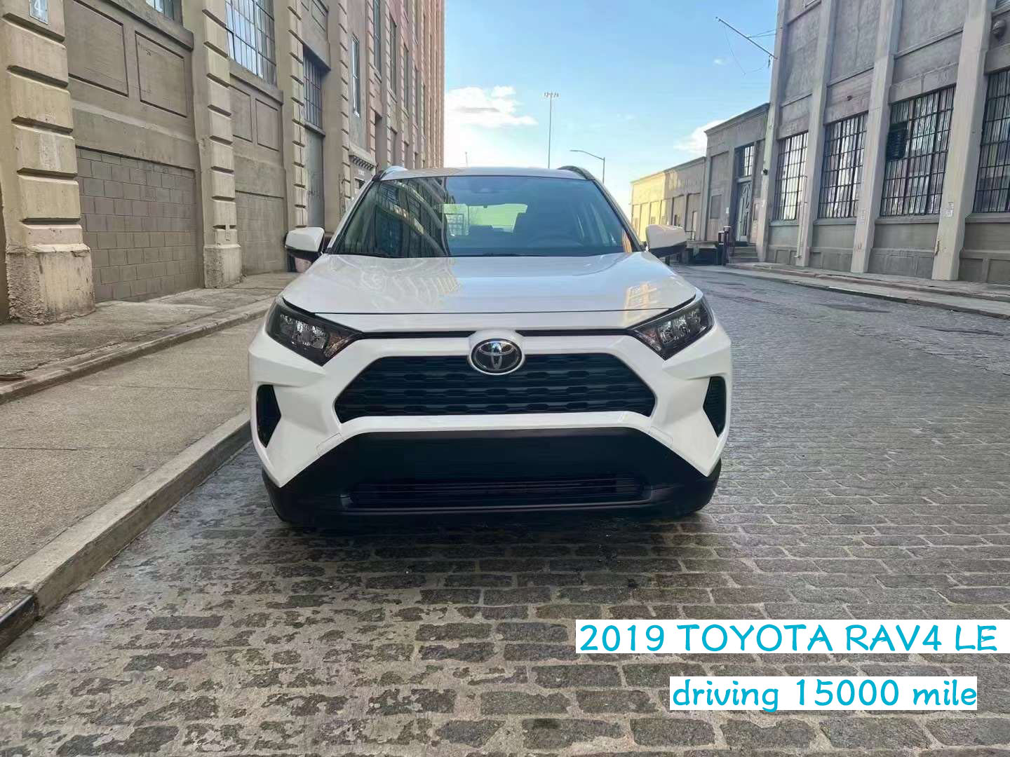 2019 TOYOTA RAV4 LE.jpg