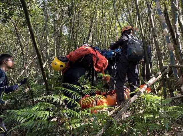 台湾一登山团遭蜂群攻击2死9伤，4名消防人员也被螫伤