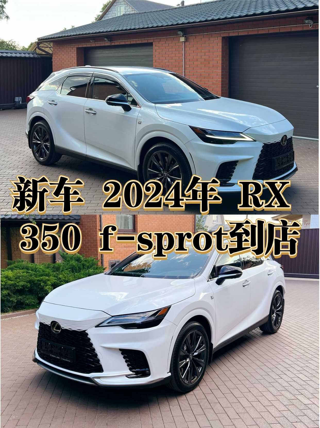 小红书.jpg