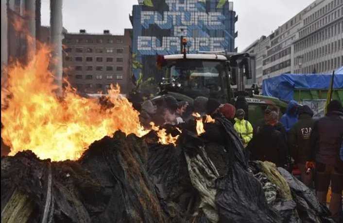 抗议蔓延！外媒：比利时农民开拖拉机逼近欧洲理事会大楼，向警察喷洒肥料