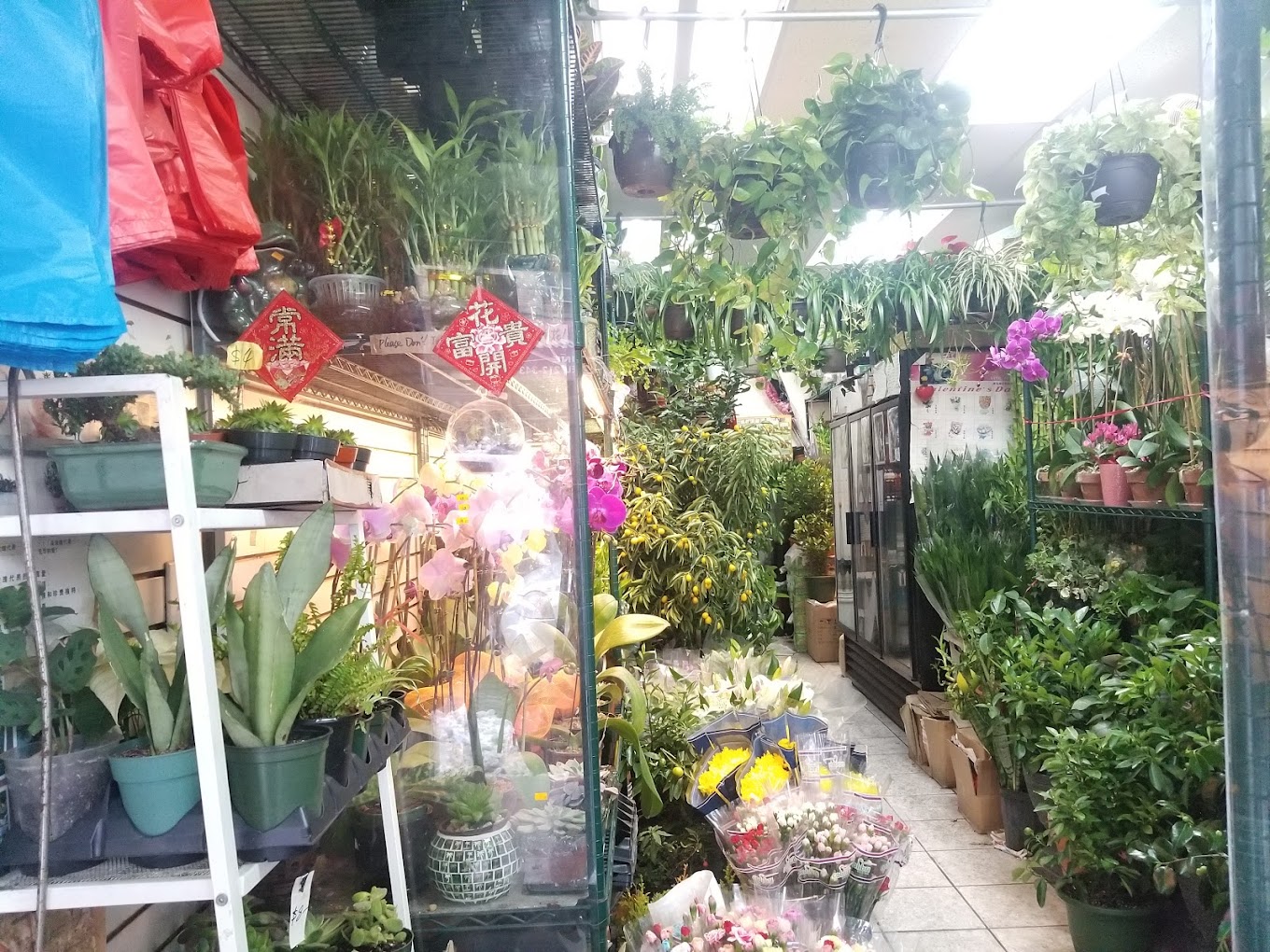 丽馨花店