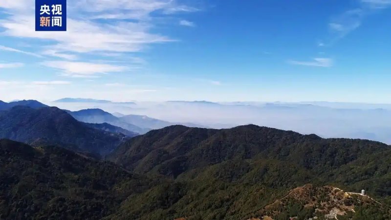 首次发现！两种国家二级保护动物现身云南大雪山国家级自然保护区