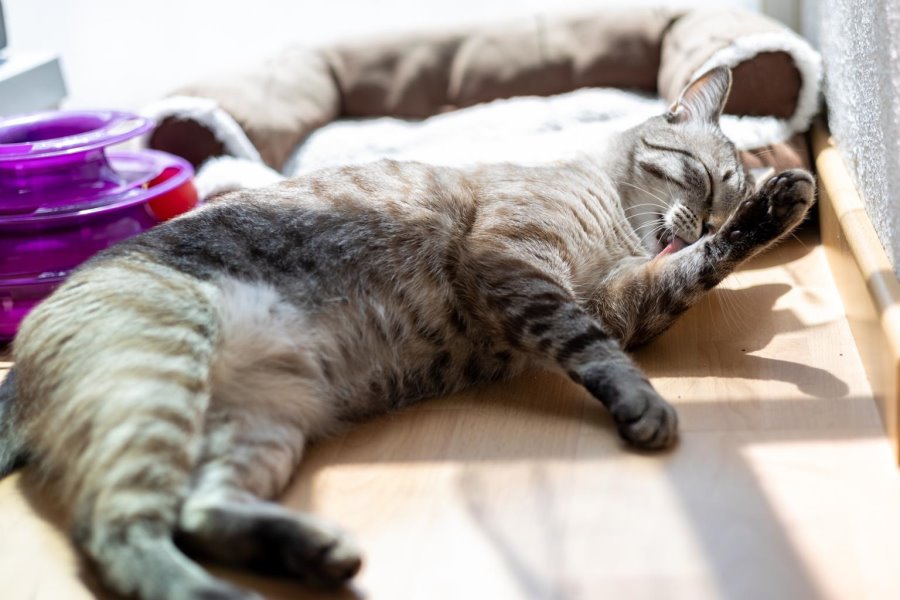 《有些温柔，其实一直在生活里》