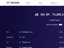 WHOER IP 查询